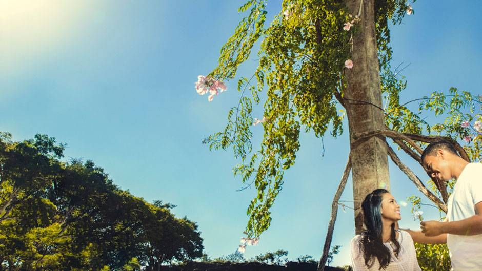 FOTOGRAFOS DE CASAMENTO EM BH